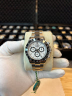 Rolex Daytona Panda